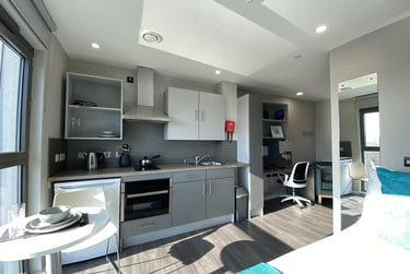 1 bed studio, Little Patrick Street, Holylands, Belfast, BT151BH - Image 3